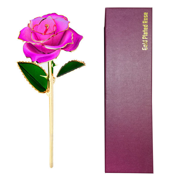 24K Gold Plated Rose, Dried Flower Kit with Gift Box and Display Stand, Rose Red