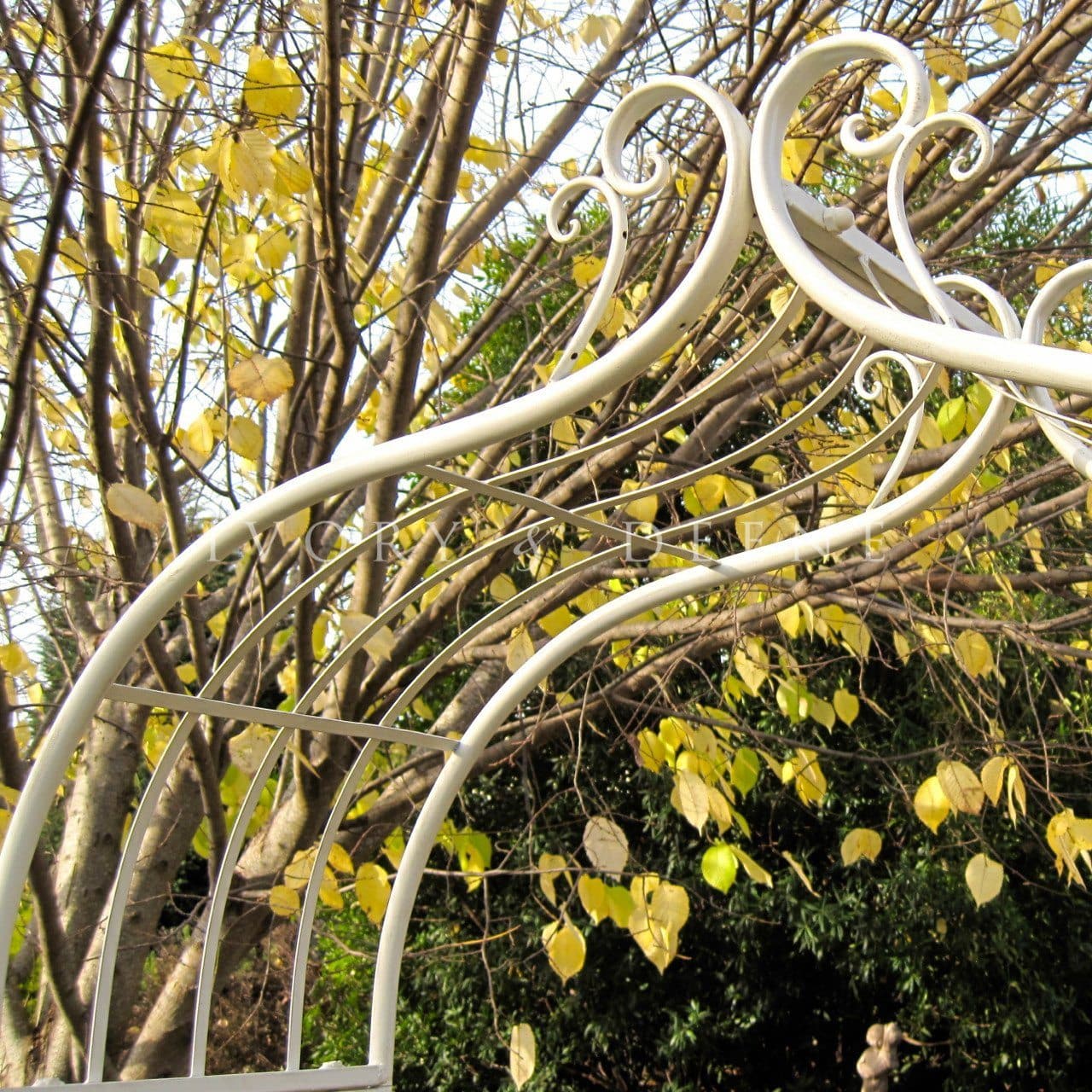 Ornate Metal Garden Arch - Distressed Cream