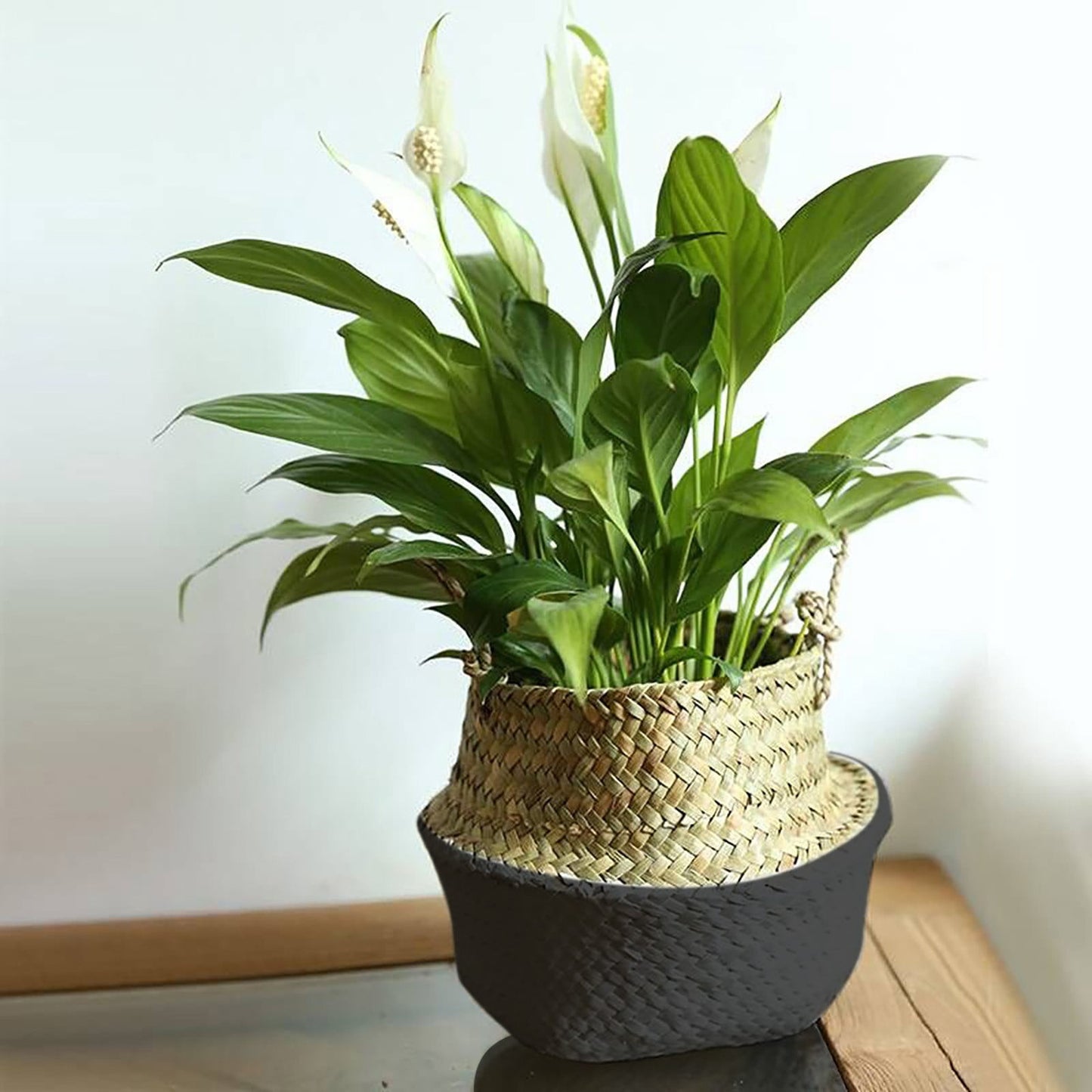 Seagrass Wicker Folding Storage Basket, Handmade Decorative Plant Pot Basket for Home Decor, 20.1 x 22.1 cm