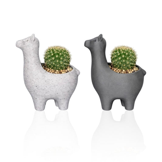 Interesting marble-colored alpaca planter, suitable for planting succulents, cacti, and small indoor plants; a versatile planter for both indoor and outdoor use.