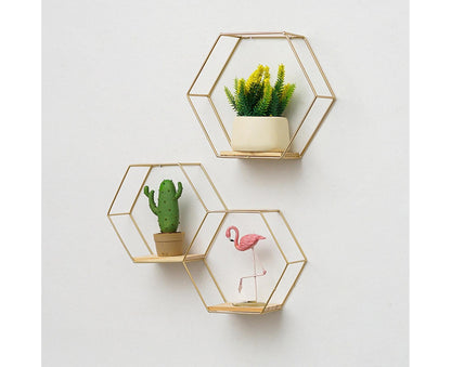 Nordic Hexagonal Iron Stand Small Pot Wall Holder Home Shelf Storage Holder-Golden M