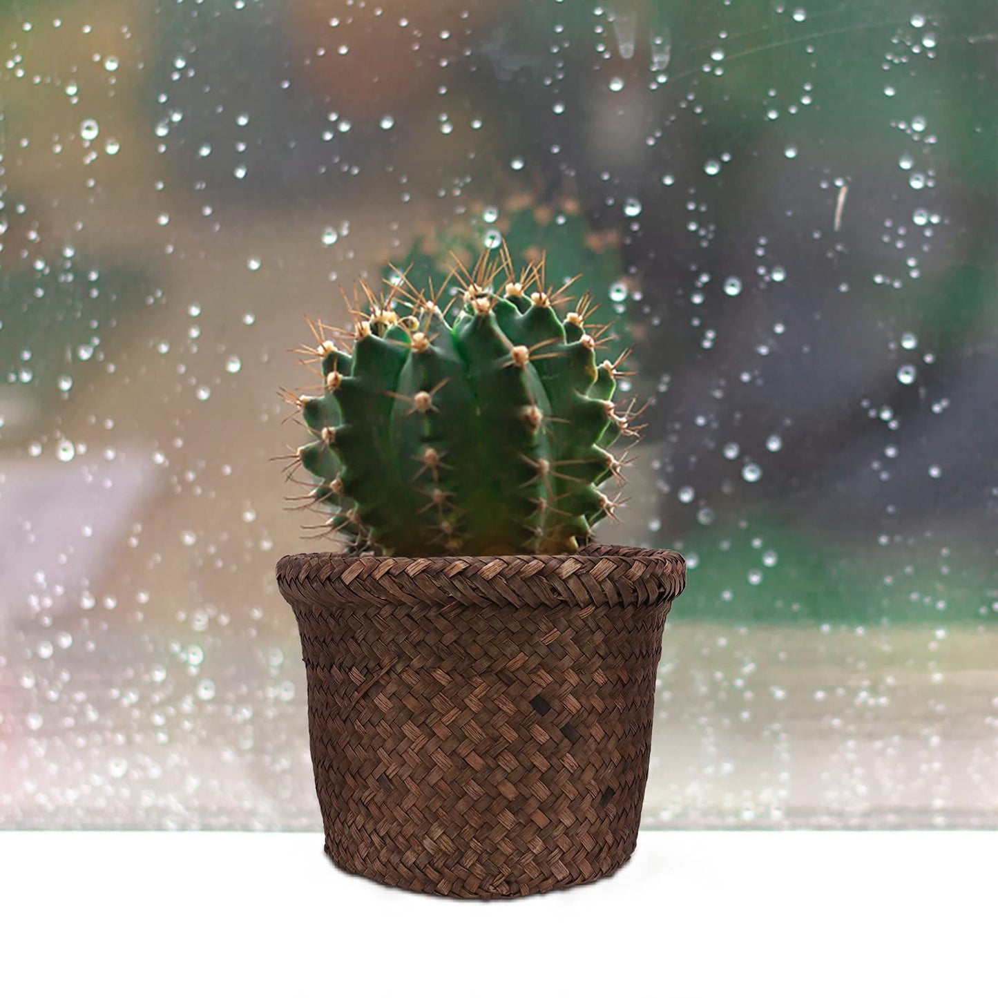 Seagrass Planter Basket Indoor, Flower Pots Cover, Plant Containers, Natural(1-Pack)Woven Flower Pots Cover Plant Pots Containers