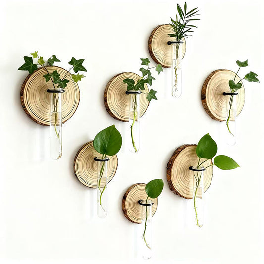 6-Pack Wall-Mounted Hydroponic Plant Test TubeFlower Pot for Indoor Plants & Cuttings