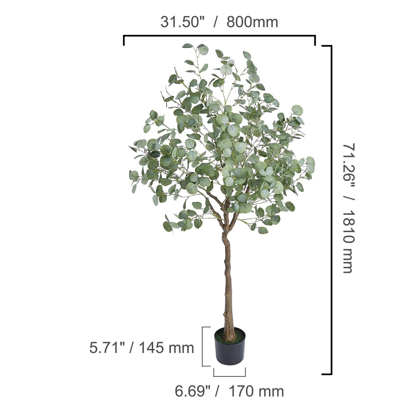 Artificial Eucalyptus Tree, 15.2cm Tall Faux Plant, Secure PE Material & Anti-Tip Tilt Protection Low-Maintenance Plant, Lifelike Green Fake Potted Tree for Home Office Decor Indoor Outdoor